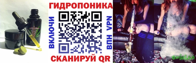 МЕГА   как найти наркотики  Тольятти  Cannafood марихуана 
