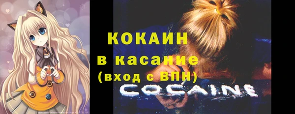 крисы Михайловск