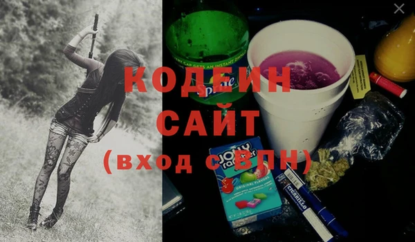 крисы Михайловск