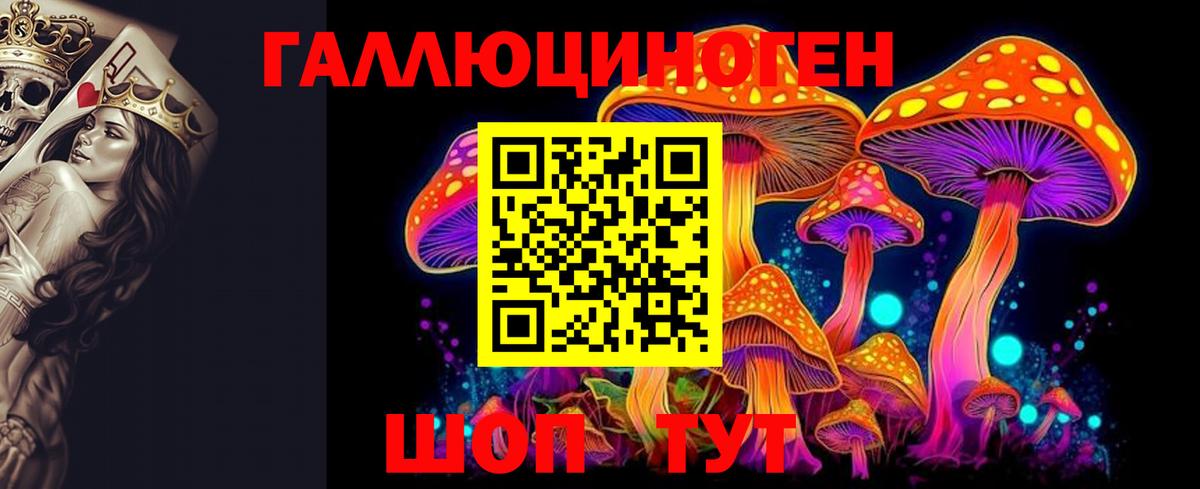 Галлюциногенные грибы Psilocybine cubensis Тольятти